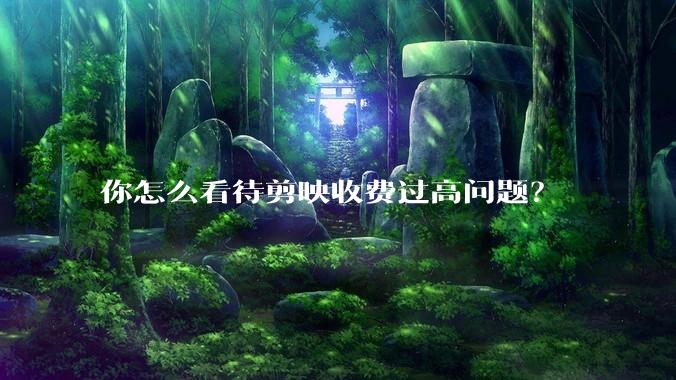 你怎么看待剪映收费过高问题？